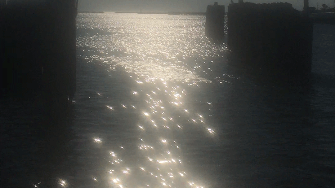 Water stretching toward the horizon line in Cape Charles, Virginia, the setting sun turning the whole stretch ablaze in shimmer.