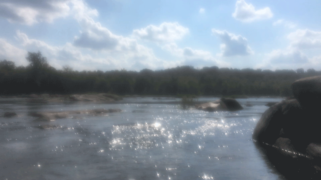 A wide view of a river on a sunny day, the light flitting across the water like glinting jewels.