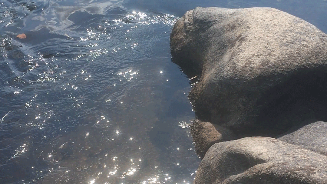 Water flowing around a large rock, light hitting the water in a way that makes it, you guessed it, shimmer.