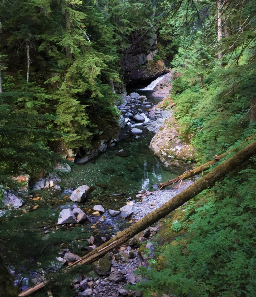 A small, crystal-green glacial stream winding through the forested mountains. Lots of big rocks and outcrops.