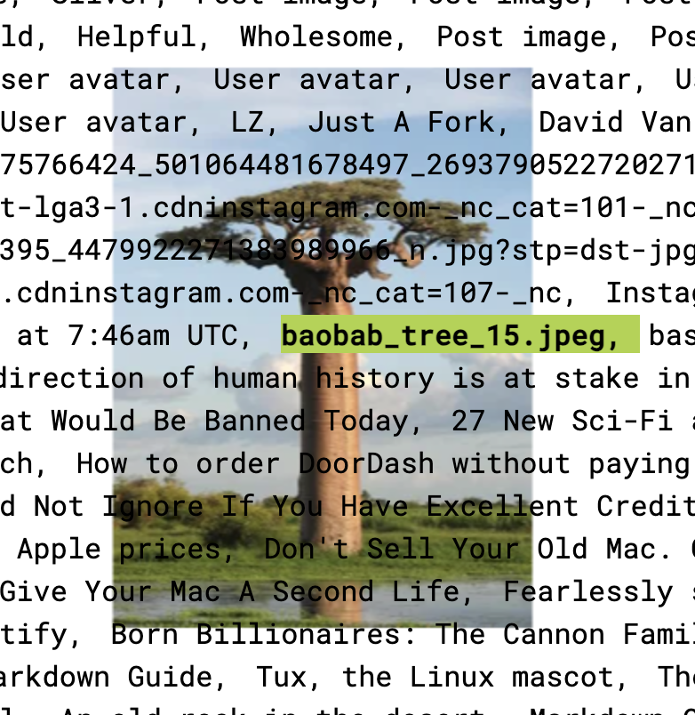 screenshot of 'Today We Saw' by Lan Zhang and Anna Garbier featuring an image of a baobab tree